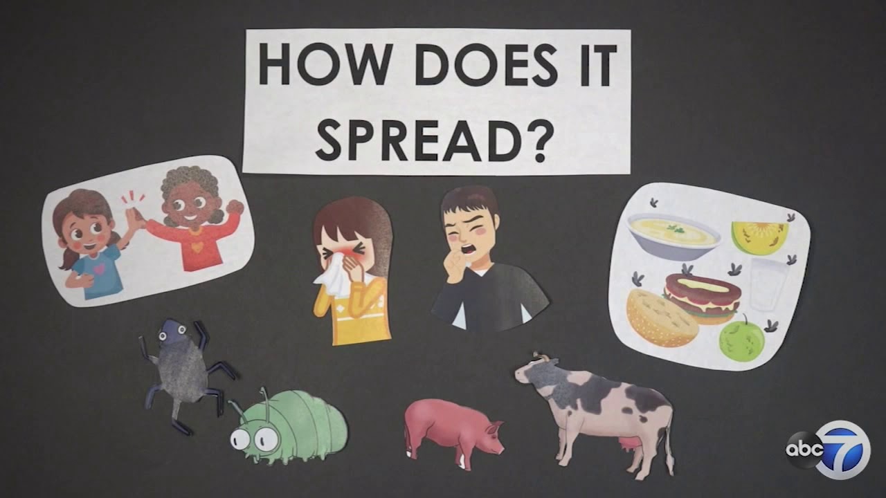 Coronavirus: How does it spread?