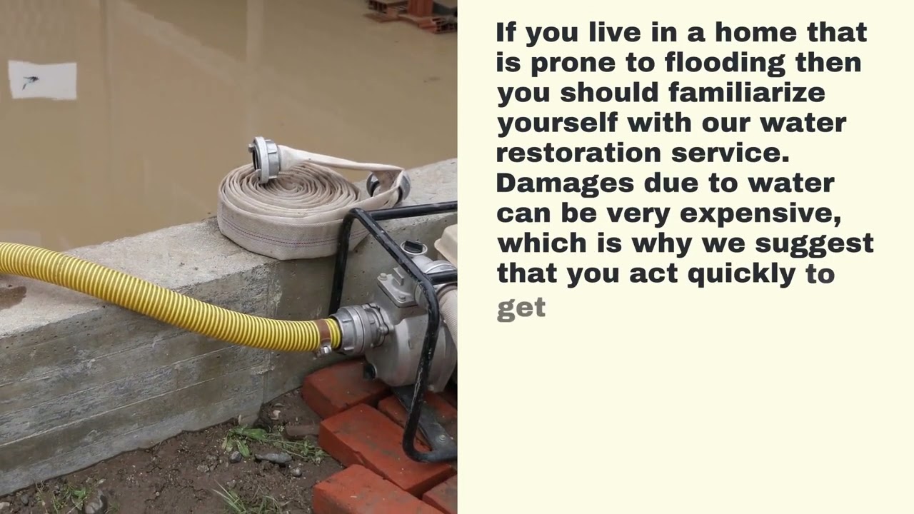Water damage clean up near me