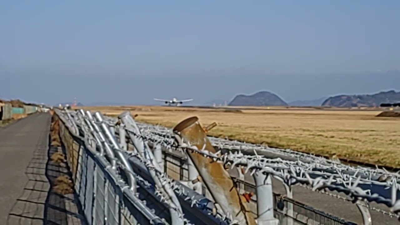 松山空港583便着陸🛬（JA816A）