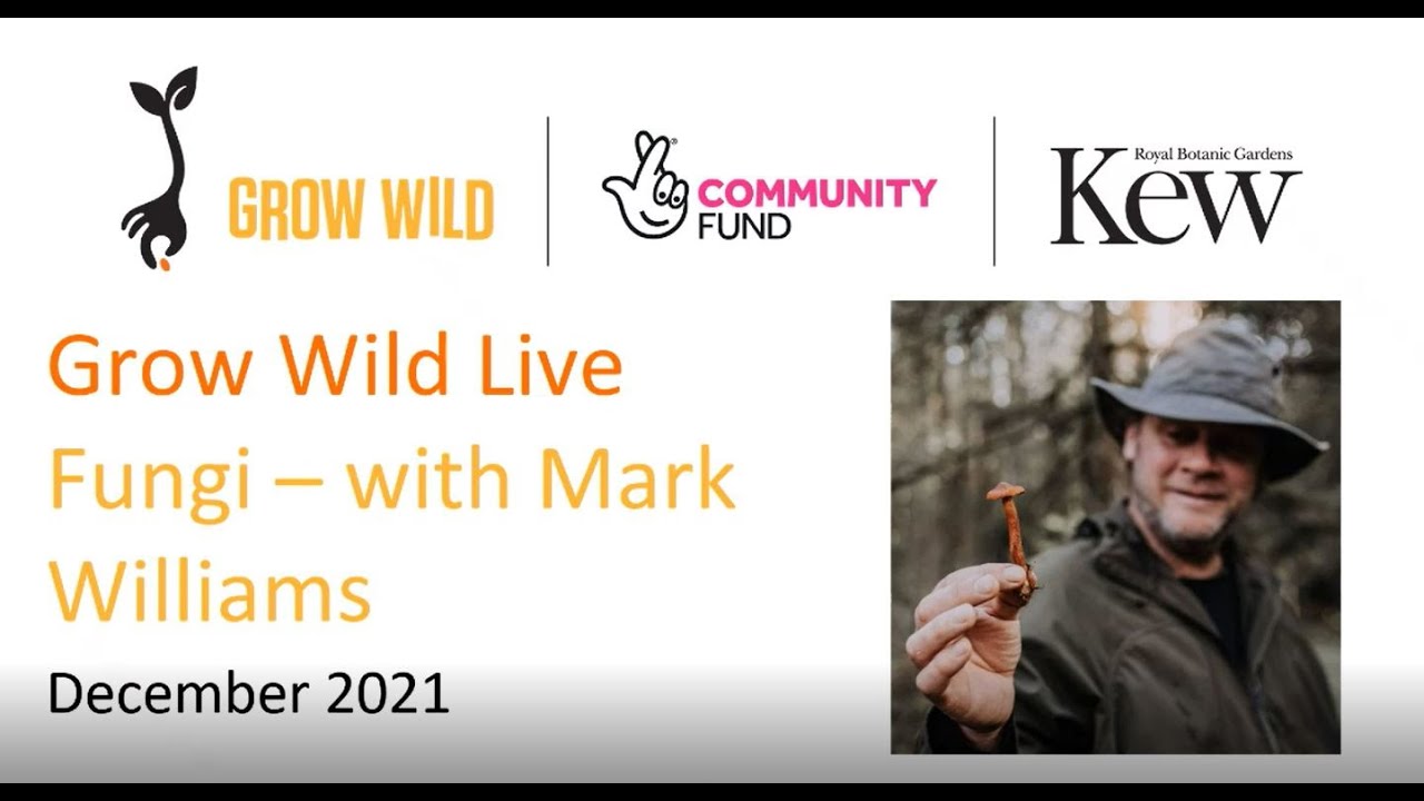 Grow Wild with Mark Williams - Understanding and Identifying Fungi