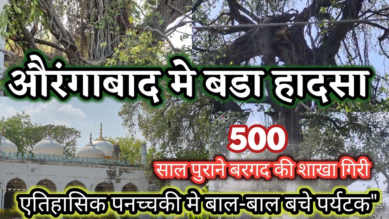 A major tragedy was averted in Aurangabad's Panchachakki! A 500-year-old banyan tree branch fell, damaging the entrance.