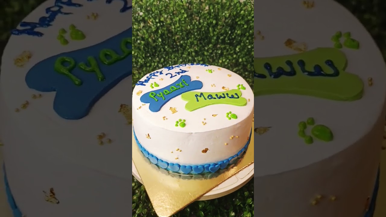 Cake for pet 
