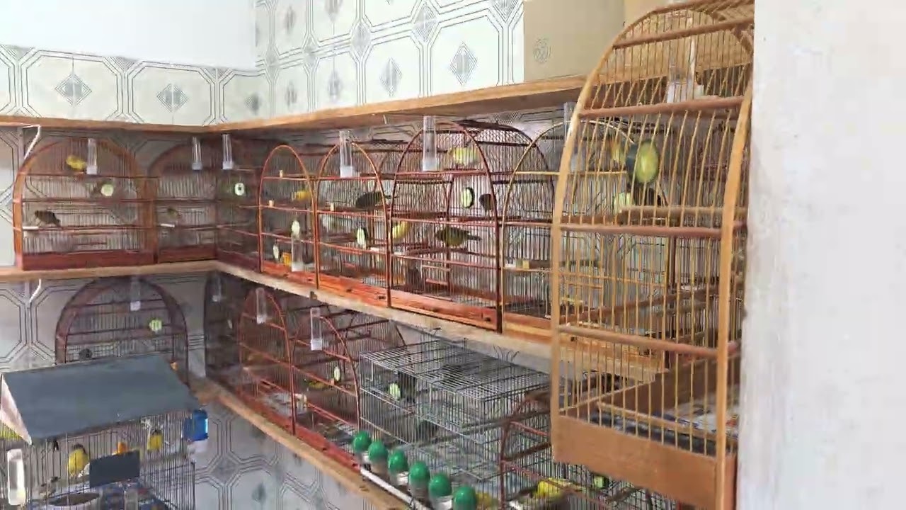 15 de março de 2026