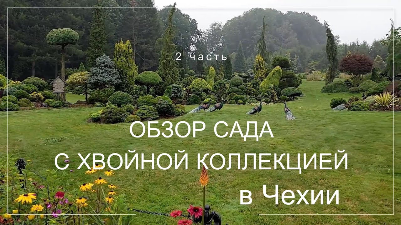 Красивейший сад Miniarboretum u Hoiubů в Чехии. 2 часть. Большая хвойная коллекция и не только...