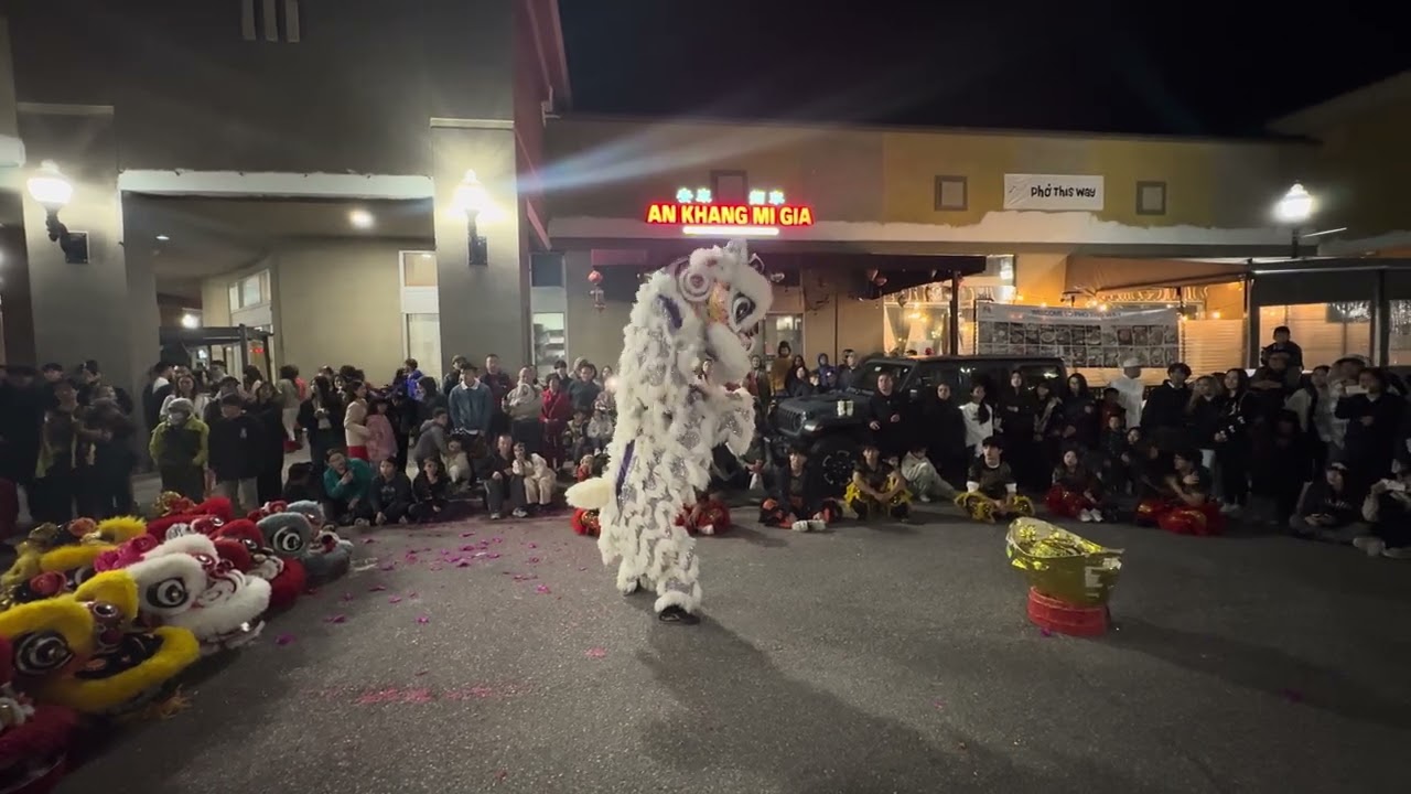 Chinese new year at Vietnam town performance by Golden Turtle Lion Dance Association