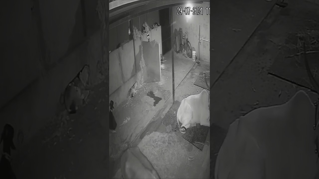 Paranormal Activity Caught on Camera | @AjanaAnubhuti #bhutergolpo #paranormalbangla #ভূত