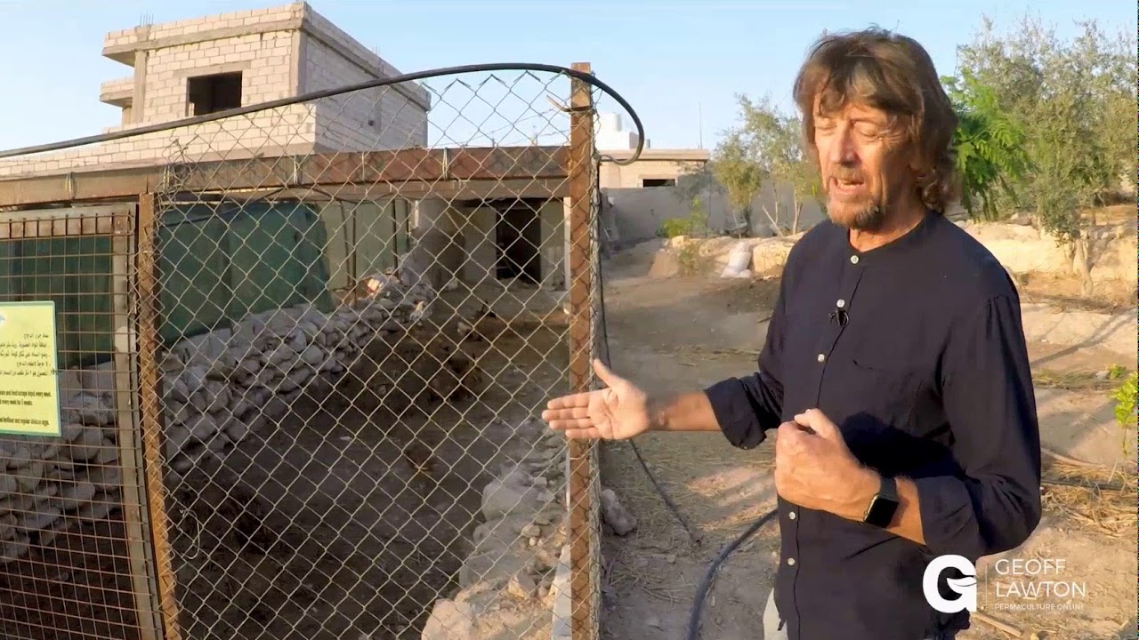 Chicken manure system