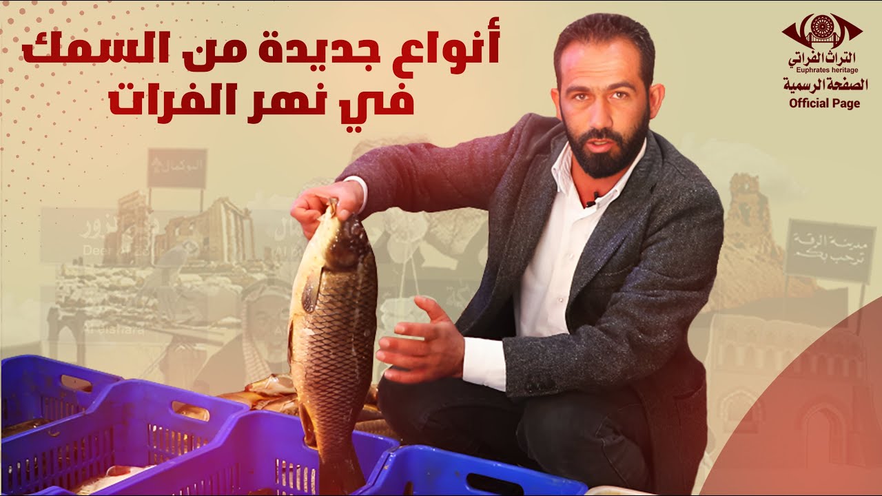 أنواع جديدة من السمك في نهر الفرات | رنامج صياد الفرات #التراث_الفراتي #الصفحة_الرسمية