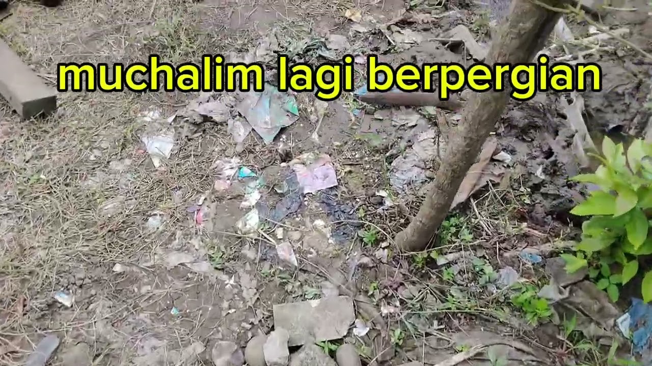 BERPERGIAN SAYA JUALAN ES KRIM KELILING SAMPAI DAERAH KALIALANG DAN MELIHAT KEINDAHAN ALAM 