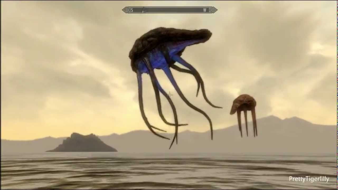Skyrim-Dragonborn: Netch, a first look at them since Morrowind