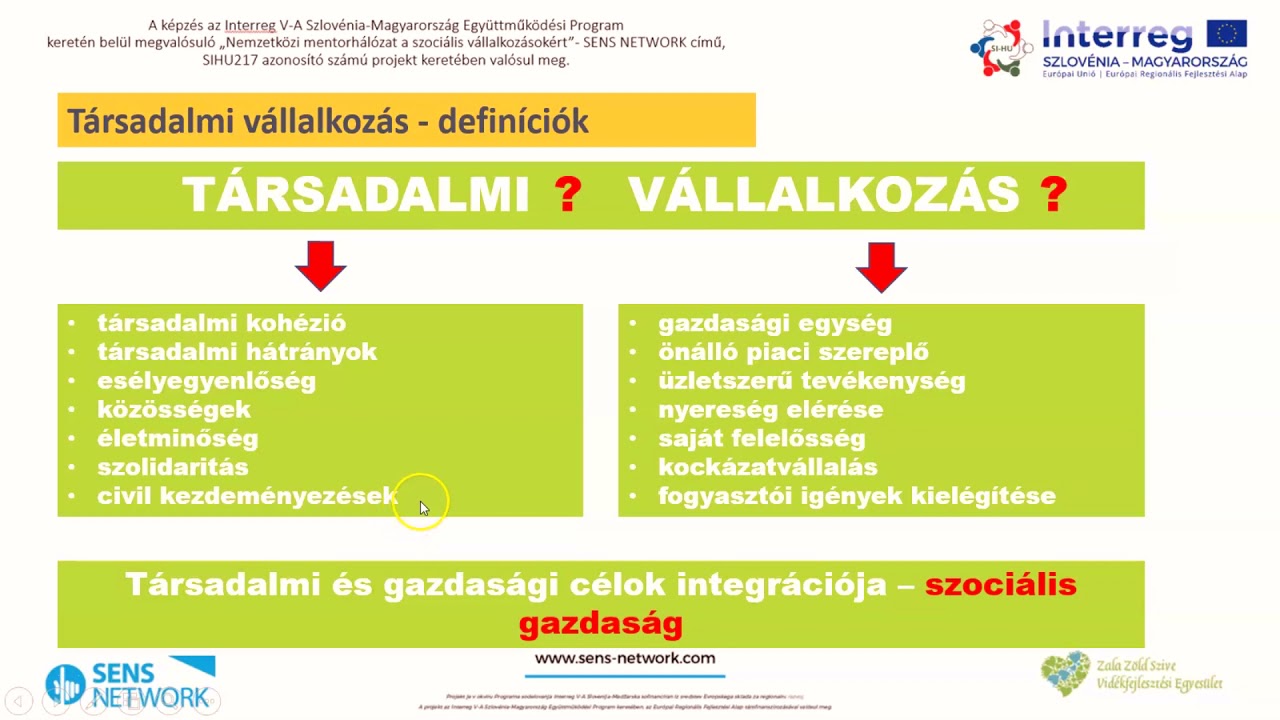 SENS NETWORK - T&aacute;rsadalmi v&aacute;llalkoz&aacute;sokr&oacute;l I.