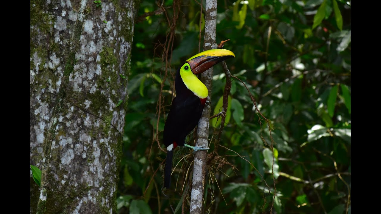 Costa Rica 2025