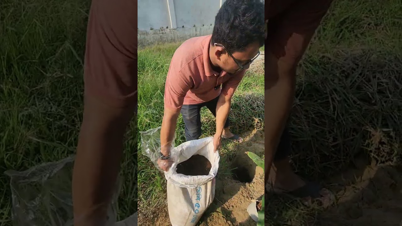 গাছে পানি দিচ্ছি, প্রকৃতিকে একটু ভালোবাসা দিচ্ছি। 🌱
