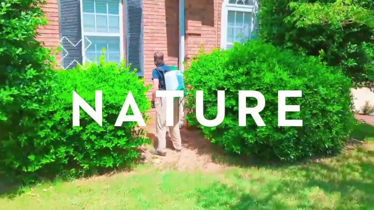 Mosquito Control - Outdoor Pest Control - Charleston SC | Walker Pest Management