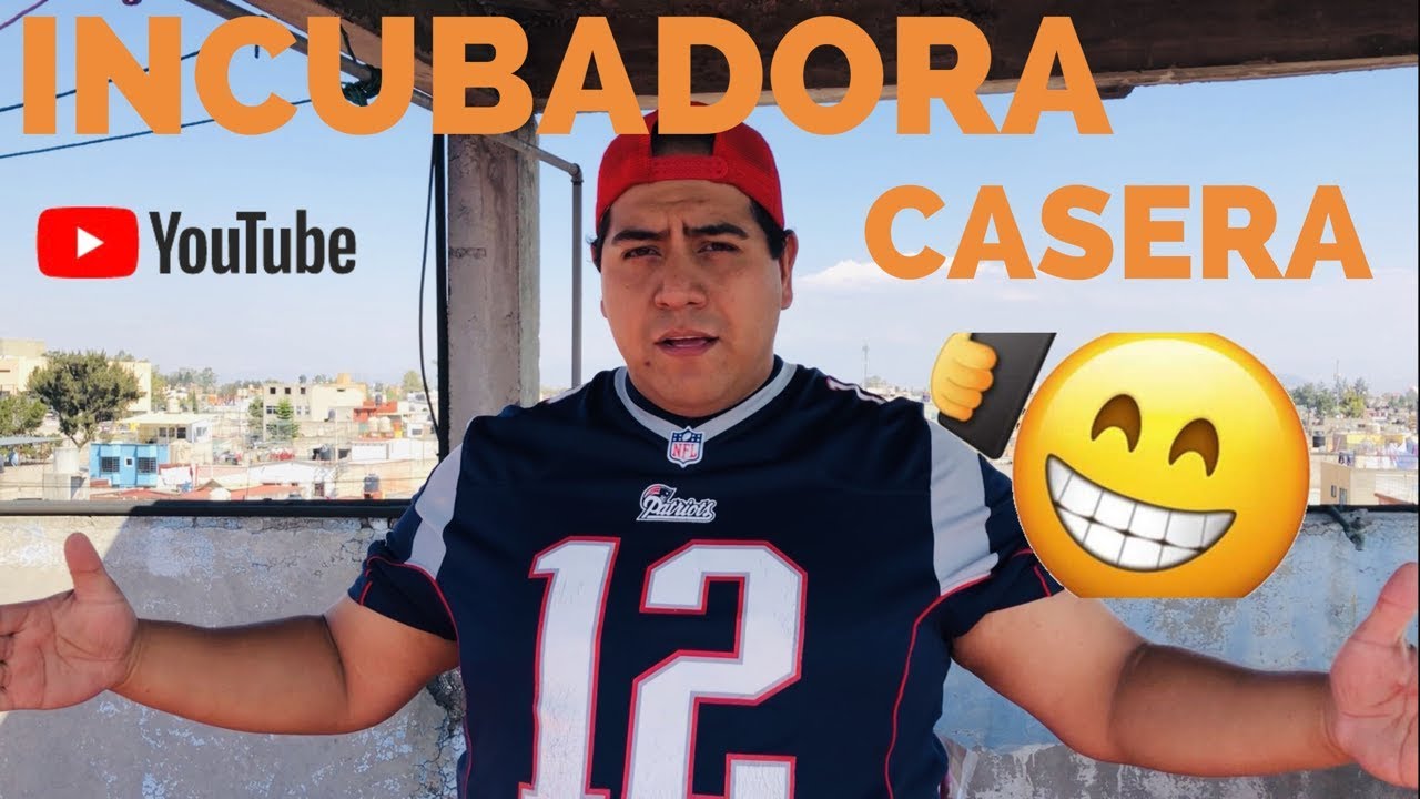 Incubadora casera