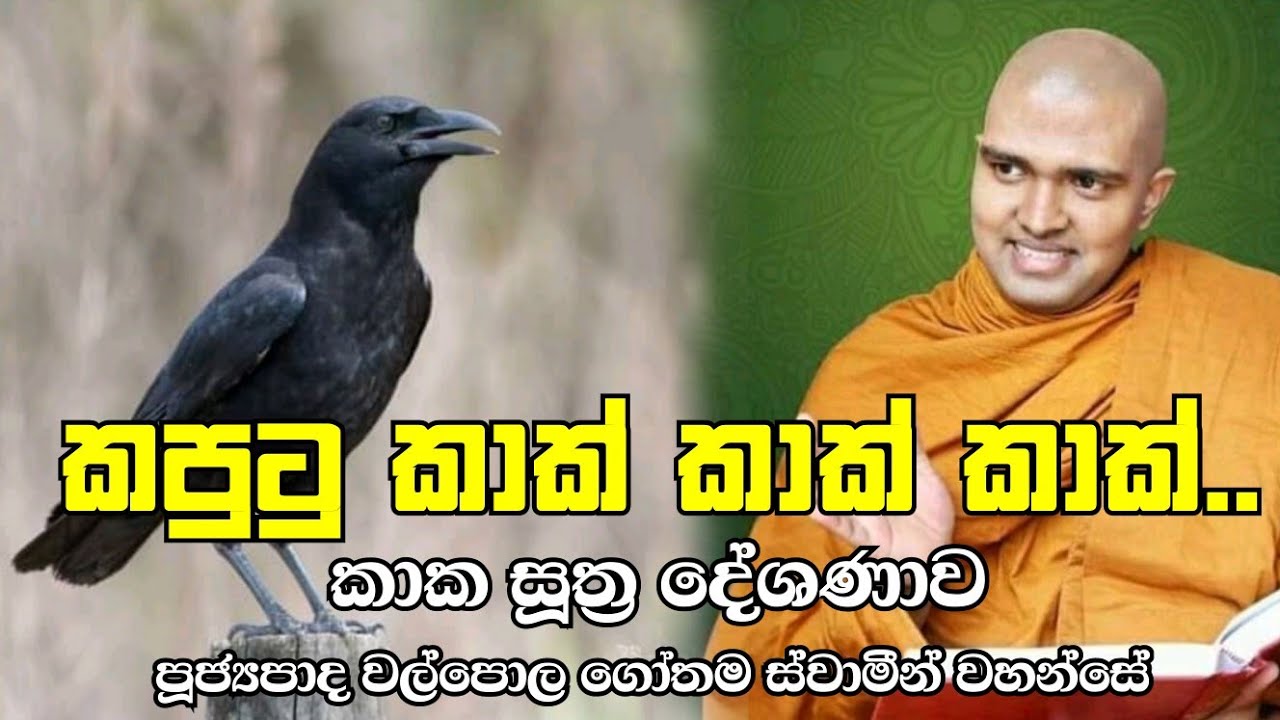 කාක සූත්‍රය | Ven. Walpola Gothama Thero | කපුටු කාක් | Bahujanahithaya Darma Deshana | Budu Bana