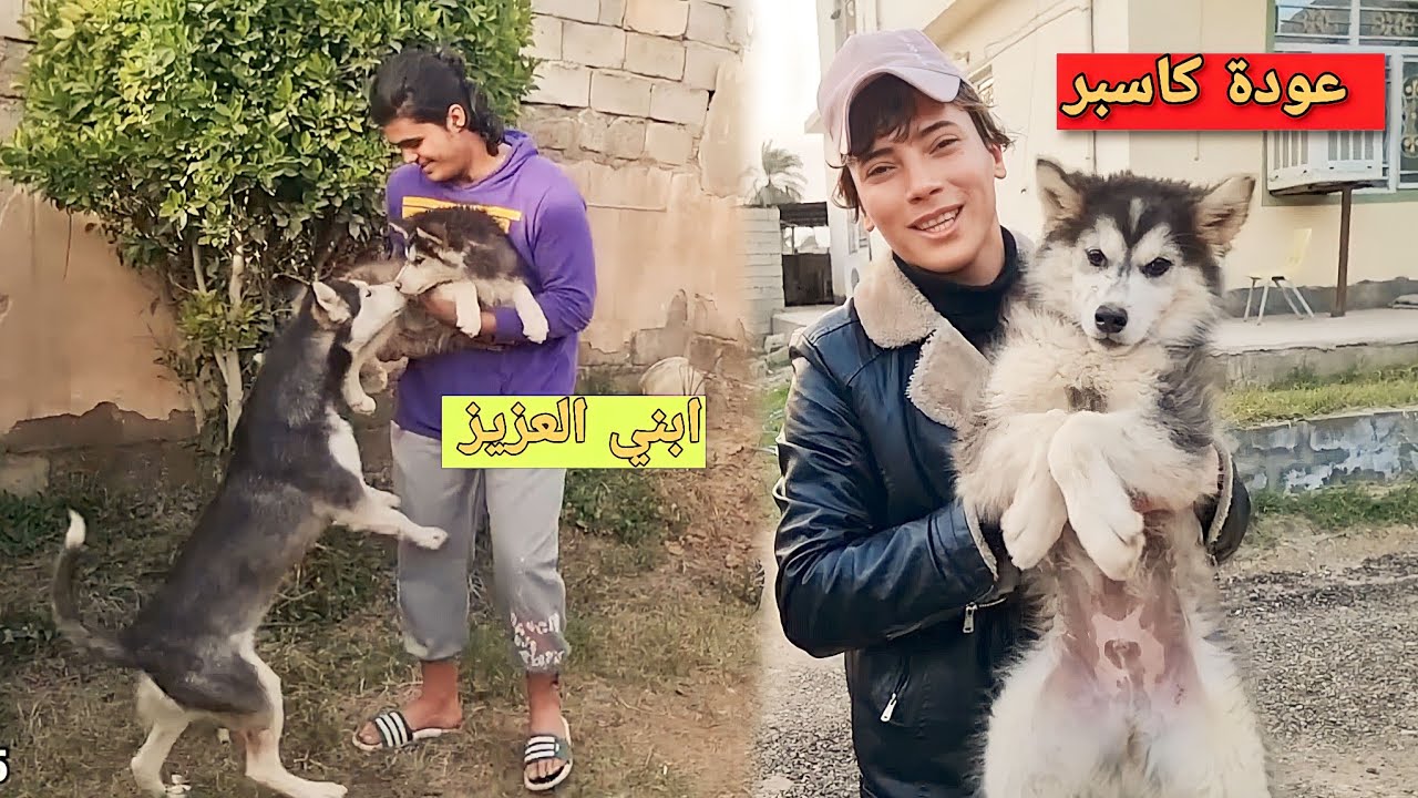 ردة فعل كلبي كاسبر لمن شاف امه كوكو _صدمني😭