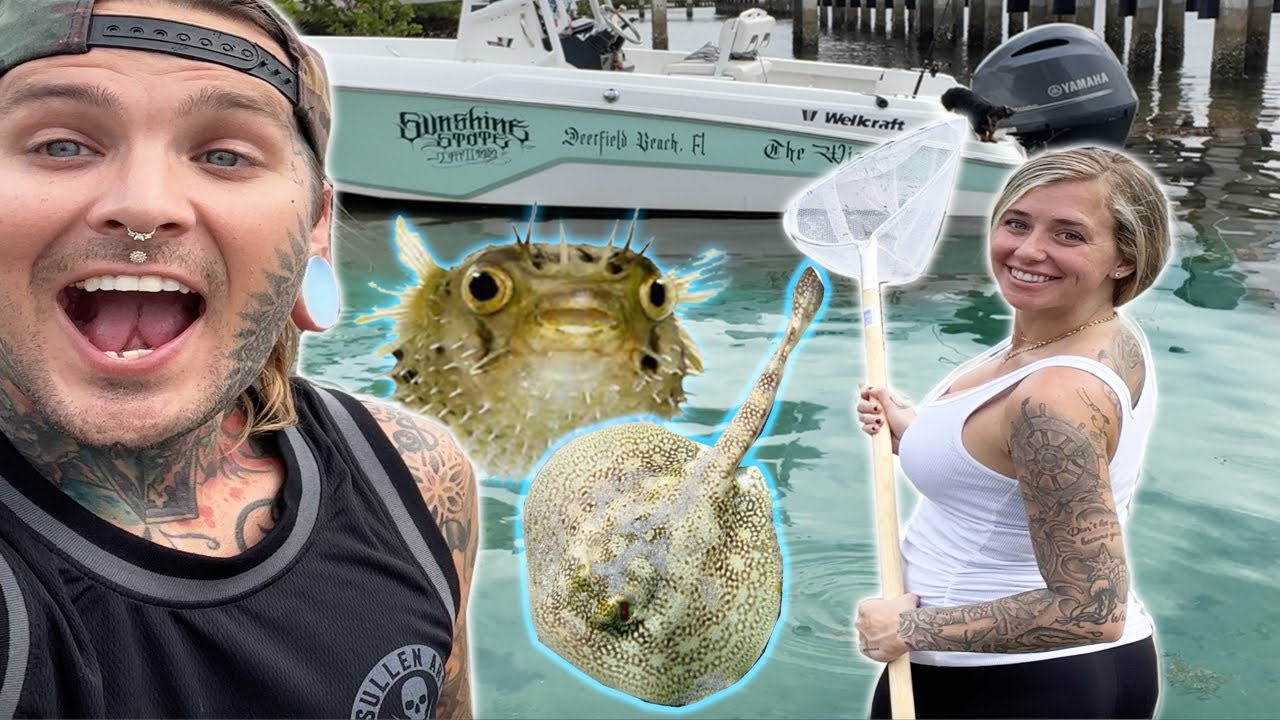 Catching Stingrays and Puffer Fish for my Salt Water Aquarium!