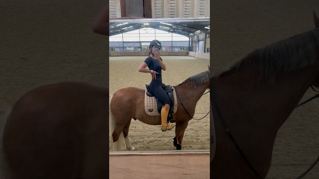 Dubai is the Barbie Pony 😜🤍 #horse #dressage #equestrian #barbie