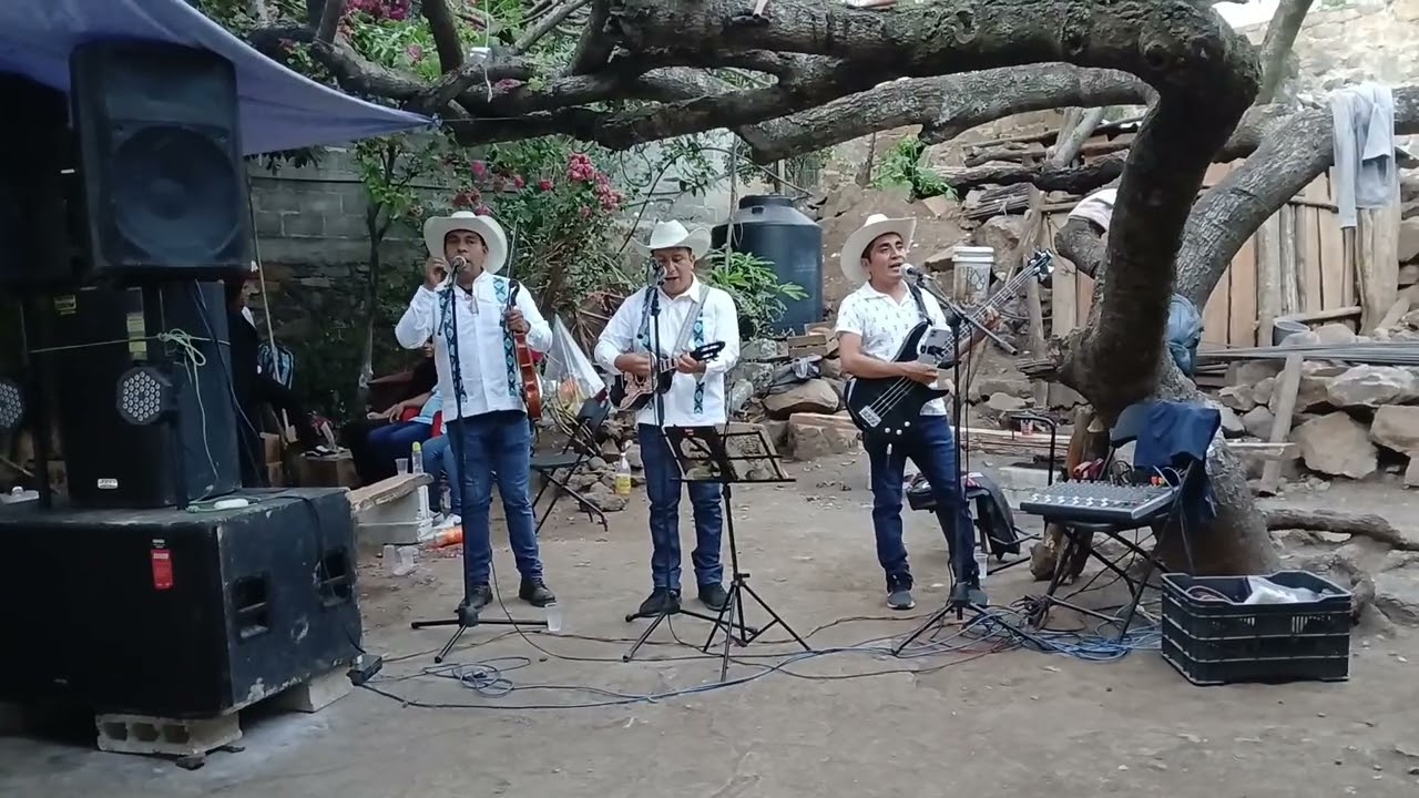 Huapanguitos Huastecos