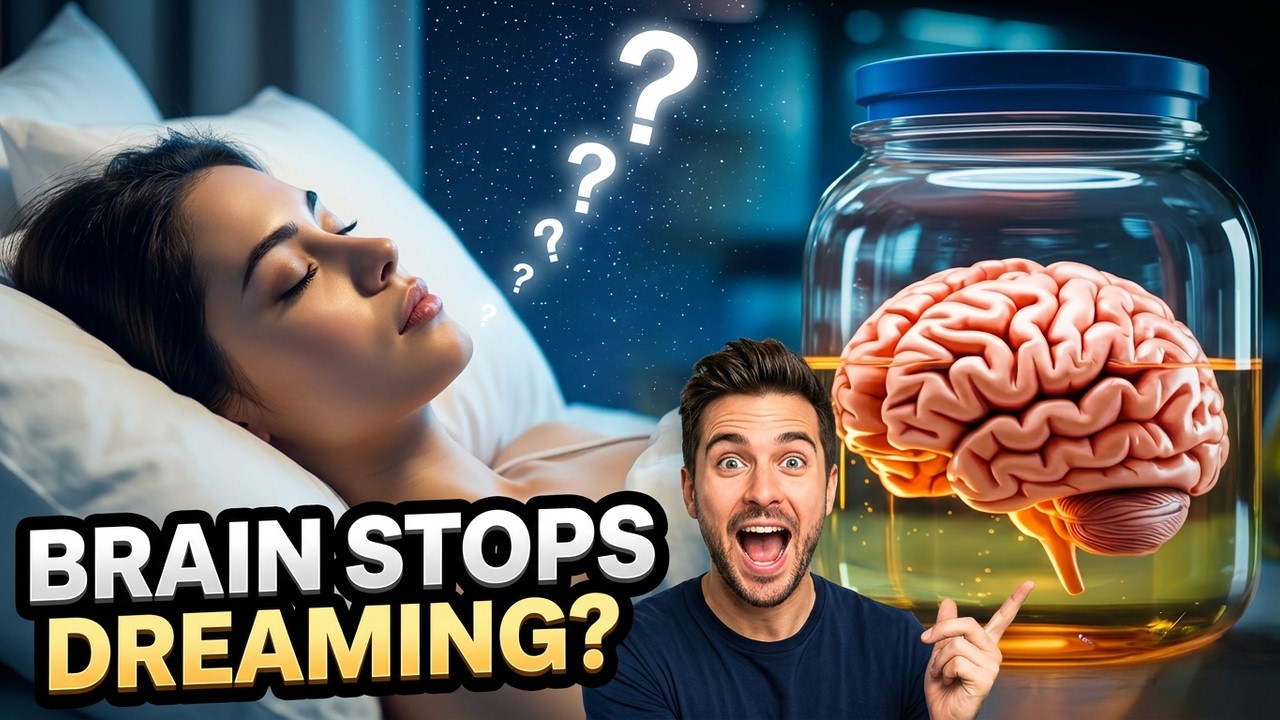 Your Brain Stops Dreaming and You Don't Even Know