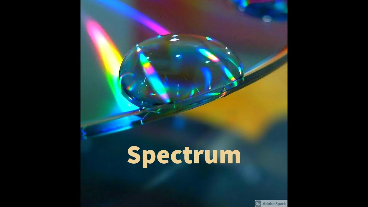 Spectrum (Trap Beat)