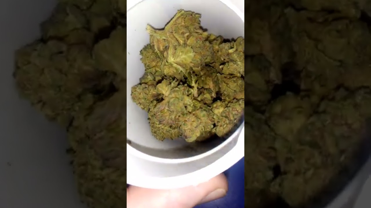 Bakerstreet Hindu Kush. Indimed Tempo.