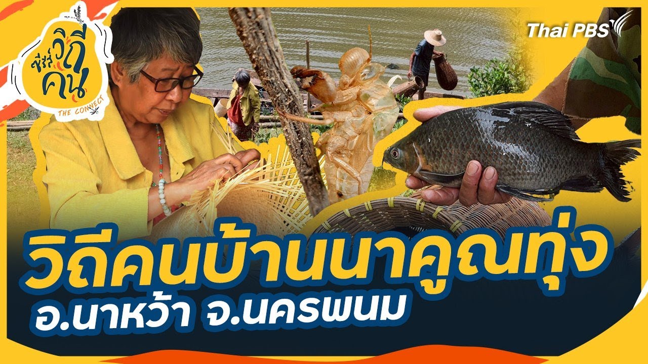 วิถีคนบ้านนาคูณทุ่ง อ.นาหว้า จ.นครพนม | ซีรีส์วิถีคน