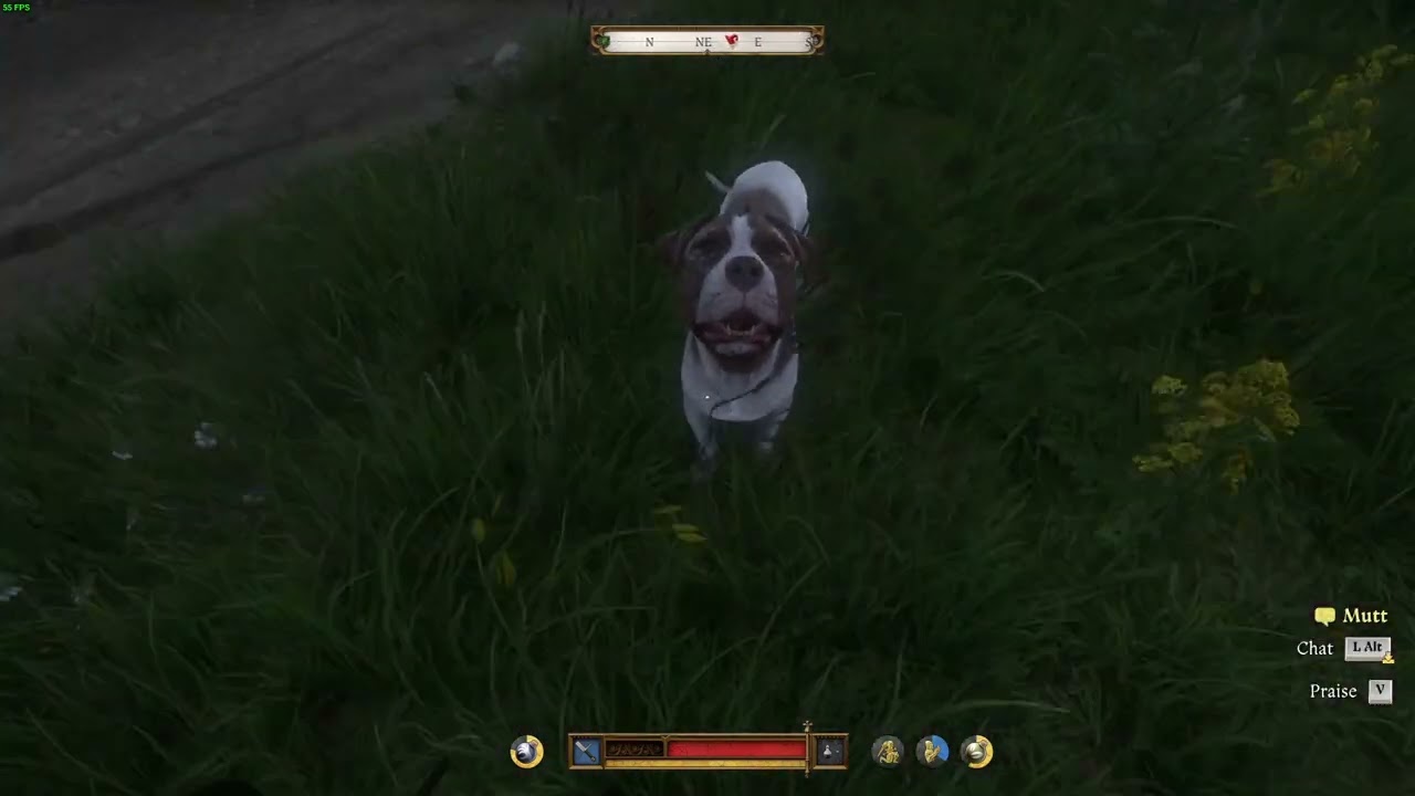 mutt pushback bug | kingdom come deliverance 2