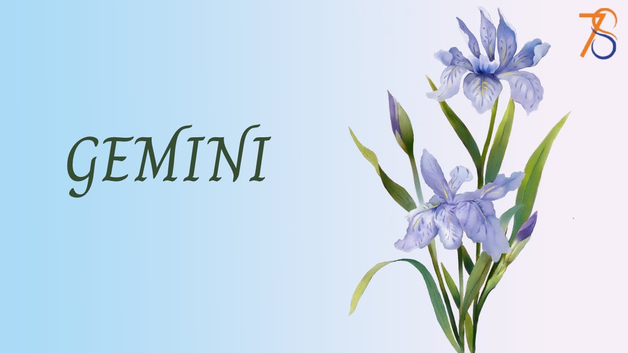 GEMINI 💕 Tarot FEBRUARY 13, 2024 🧡 Today Card Reading | CRUSH | AMOUR PREDICTION | Single | Couple