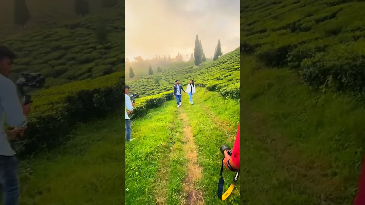 #prewedding #bts #youtubeshorts #ytshorts #preweddingshoot #teagarden #darjeeling #photography