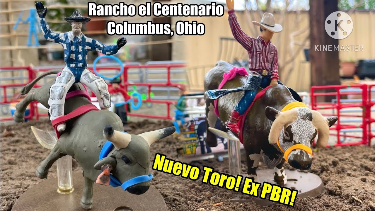 Nuevo Toro! Ex Toro de la PBR! Red Bandana! Grandes Jinetes! Rancho el Consentido en Columbus, Ohio!