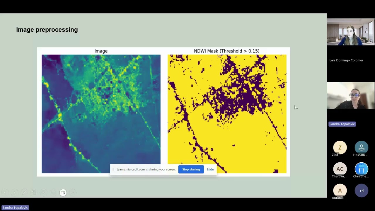 QML for Change Detection using Satellite Imagery