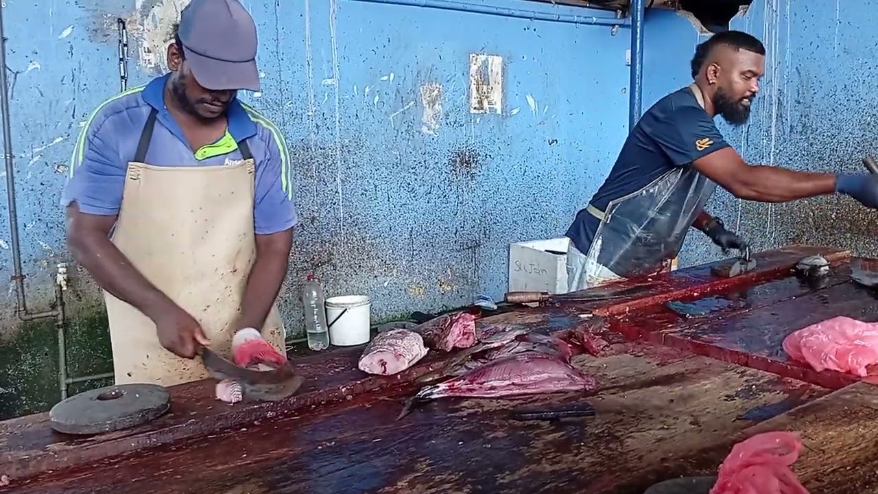 Very fast fish cutter in the world 