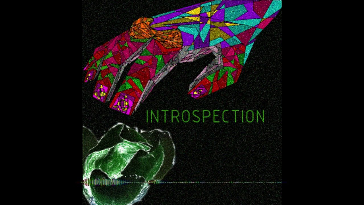 INTROSPECTION