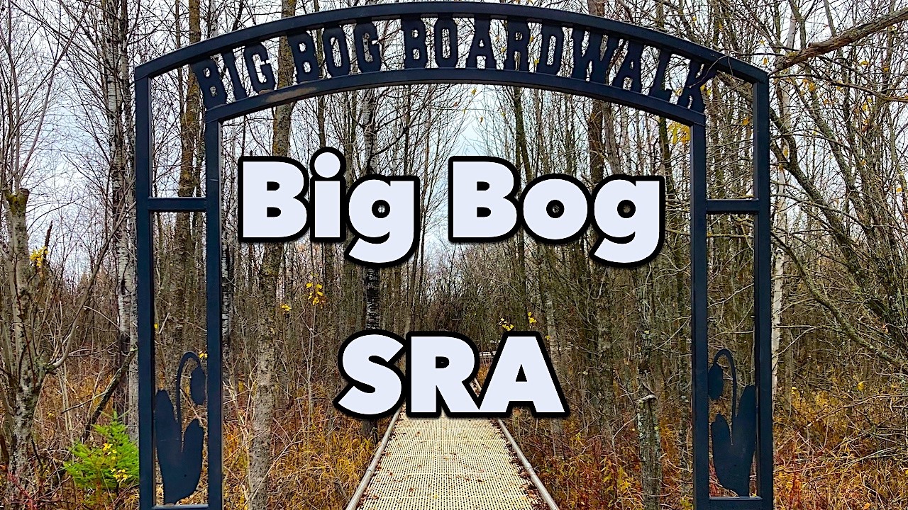 HIKE Big Bog State Recreation Area (Waskish, MN) [10-31-25]