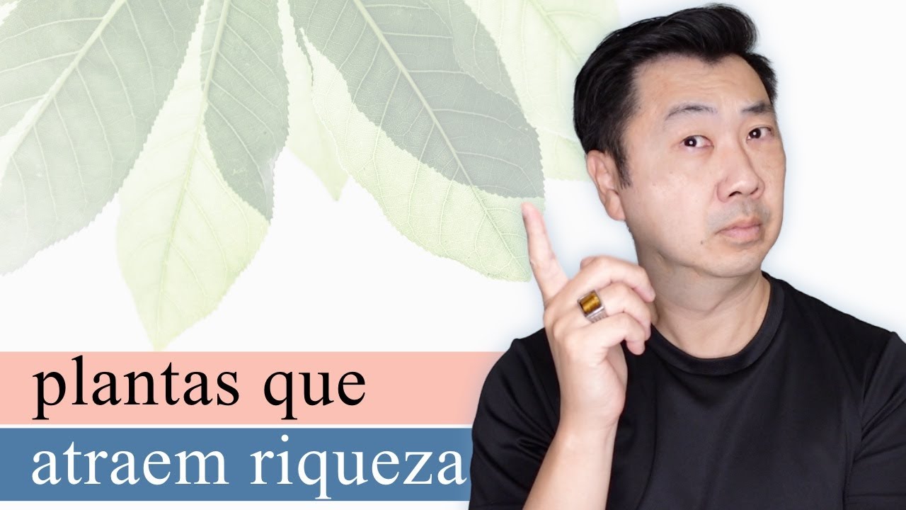 Plantas que Atraem Riqueza e Prosperidade pelo Feng Shui | Decoração Minimalista