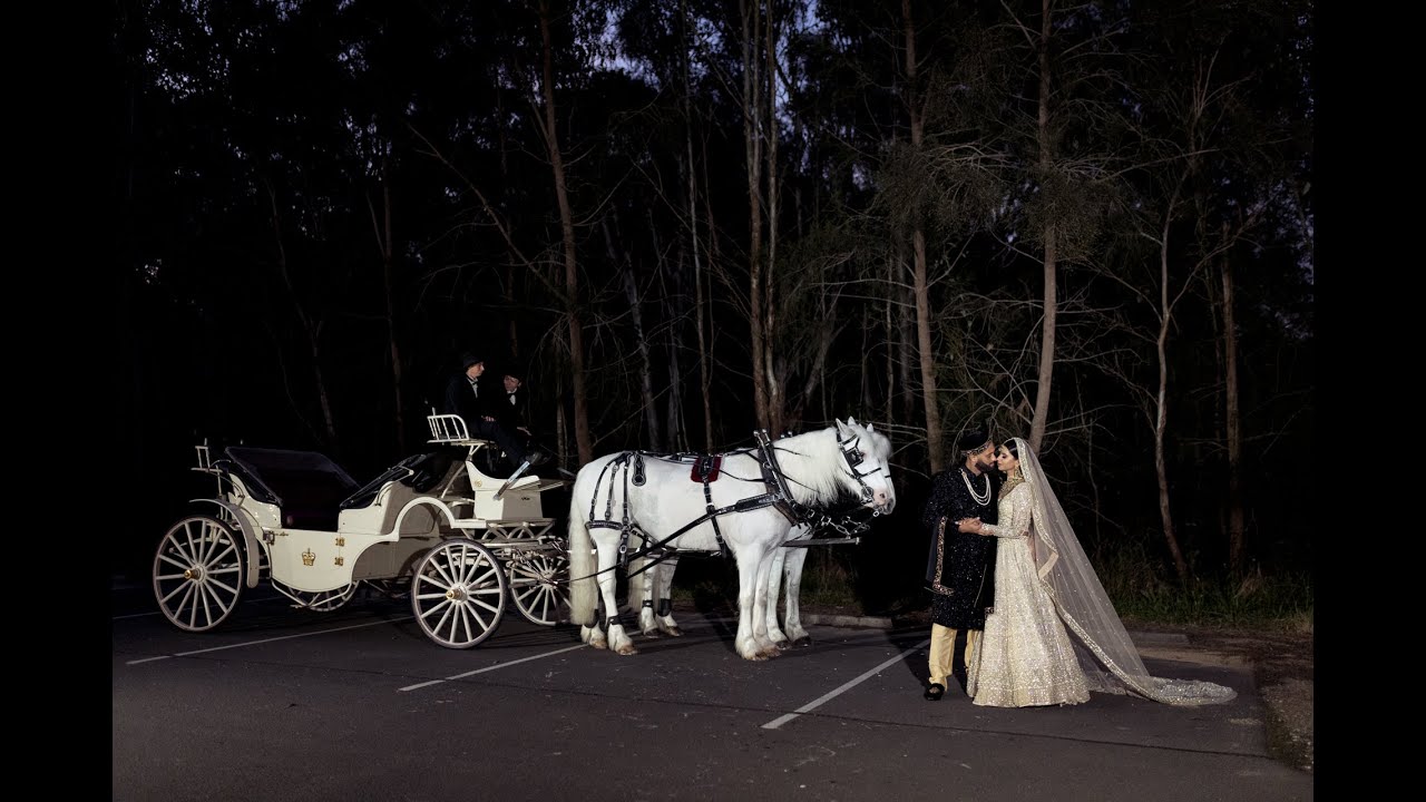 Shoaib & Trizzalyn | Gorgeous Fiji Indian Wedding | Same Day Edit