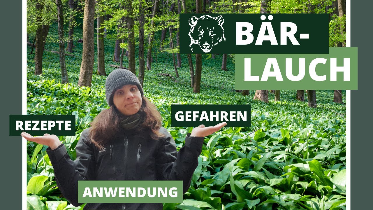 Bärlauch - Nutze die Bärenkraft aus dem Wald