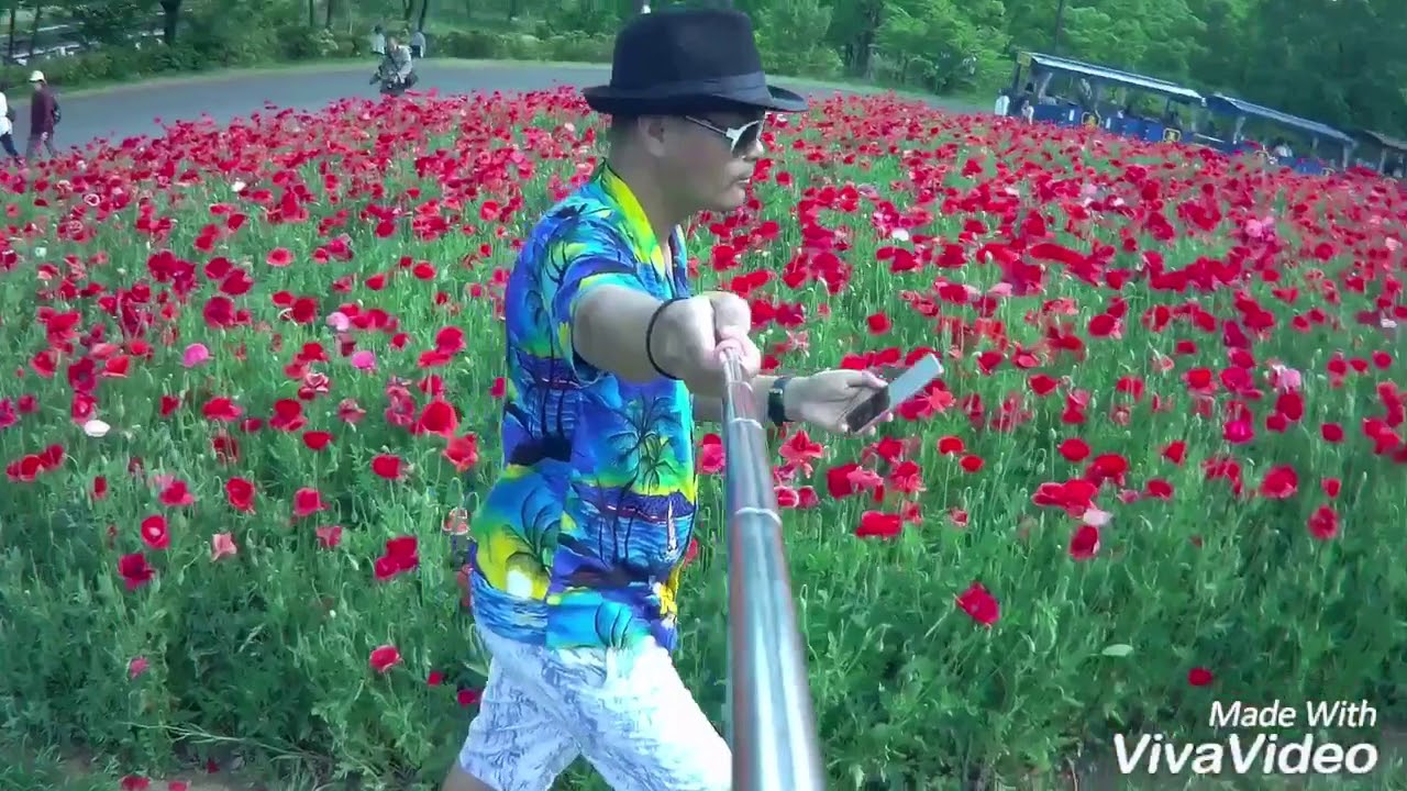 Tachikawa park