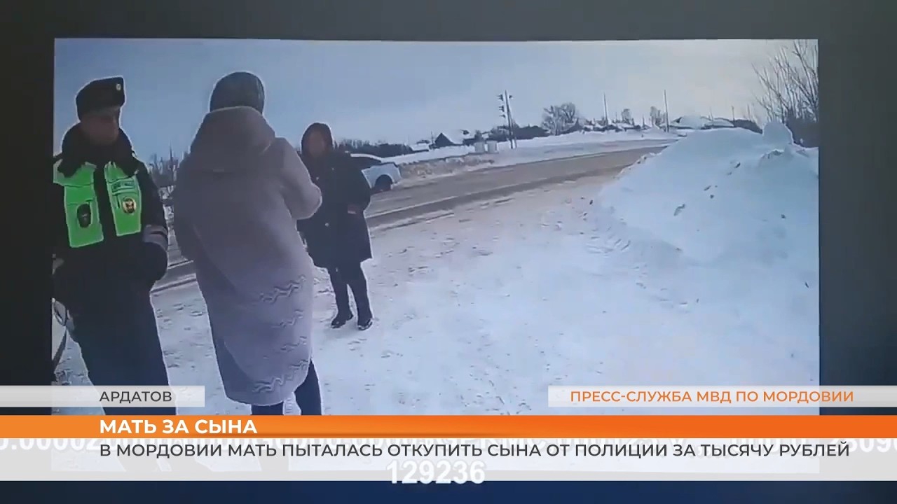 Жительница Ардатовского района пыталась дать взятку сотрудникам Госавтоинспекции