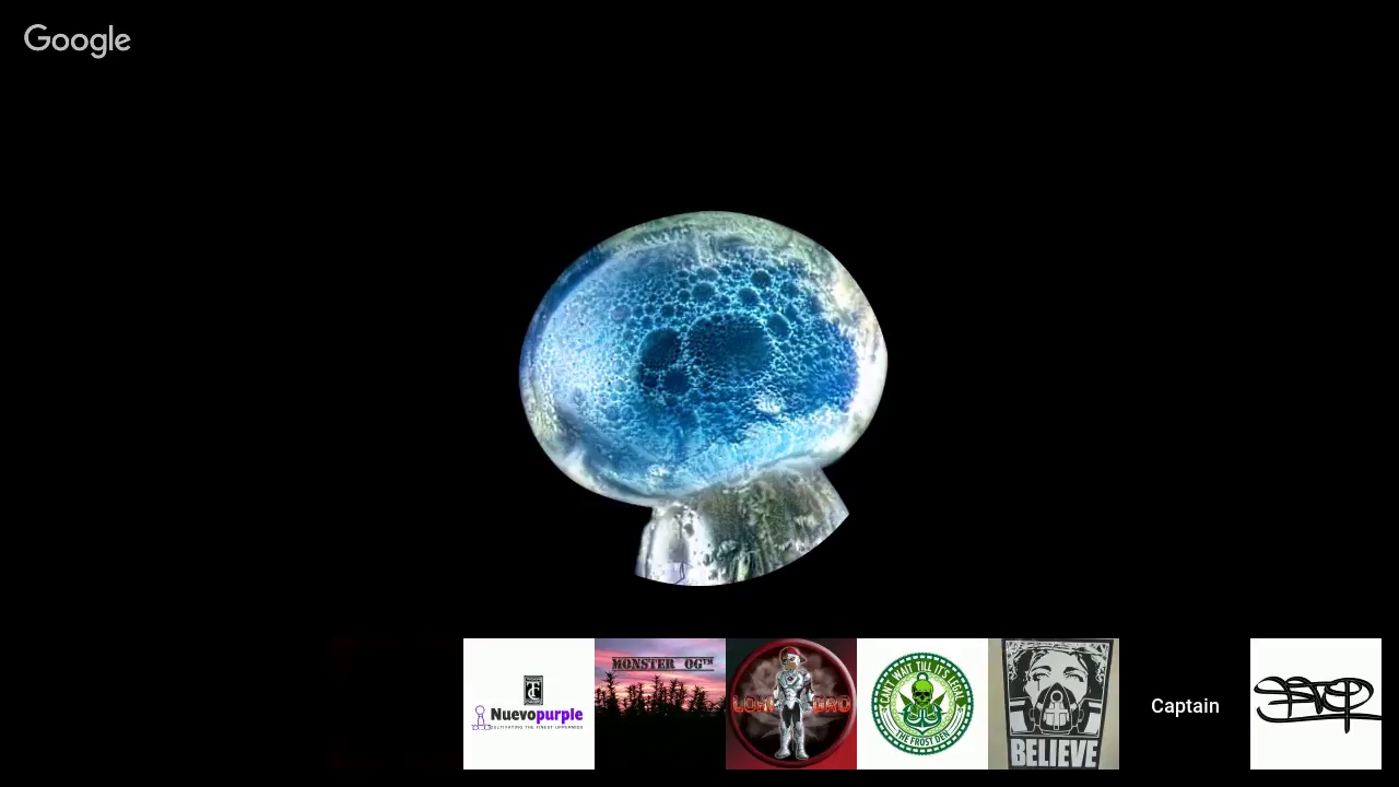 Trichome Chasers Live stream Season 2 Episode 1