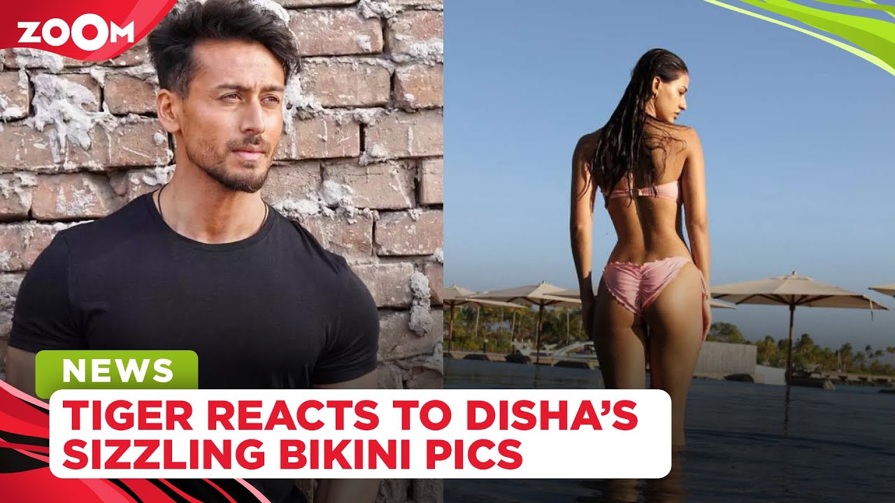 Tiger Shroff REACTS as rumoured girlfriend Disha Patani flaunts her hot bikini looks