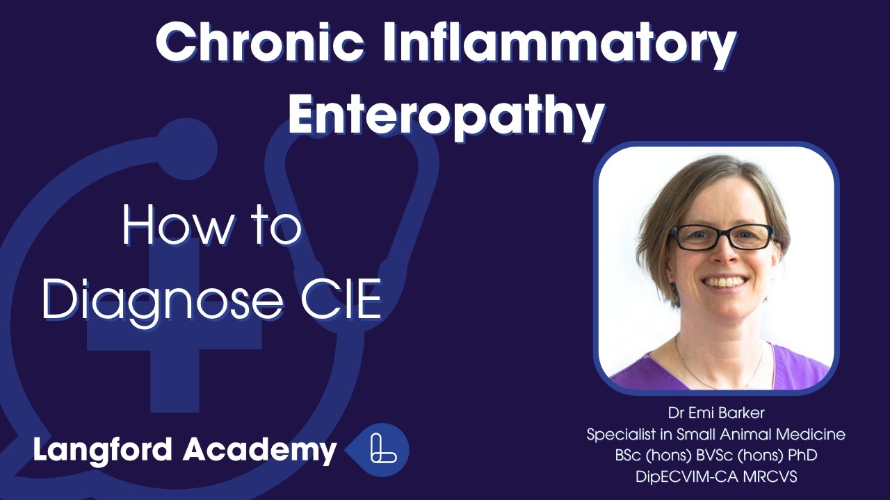 Chronic Inflammatory Enteropathy Part 1: How to Diagnose CIE