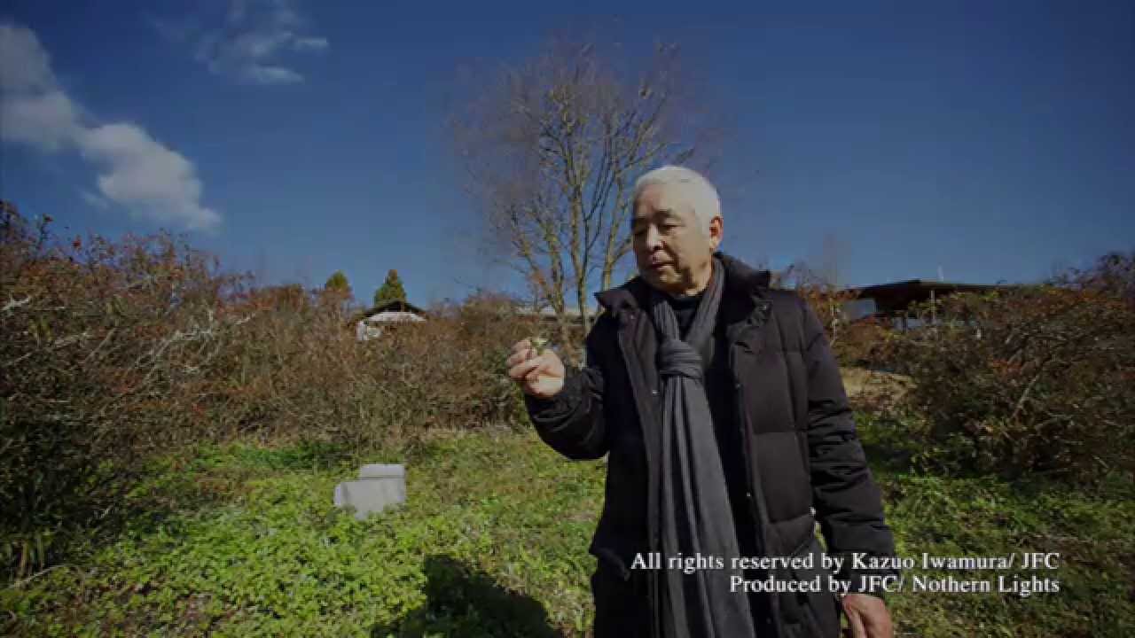 Kazuo Iwamura - La famille Souris