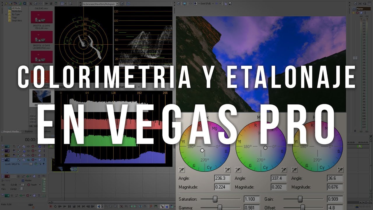 COLORIMETRIA Y ETALONAJE DIGITAL EN VEGAS PRO