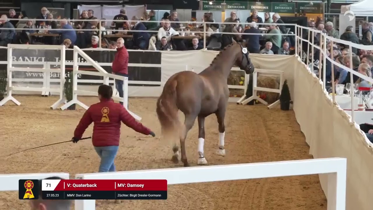 Lot 71 v. Quaterback / Damsey
