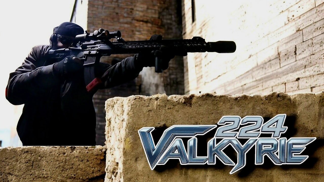 224 VALK