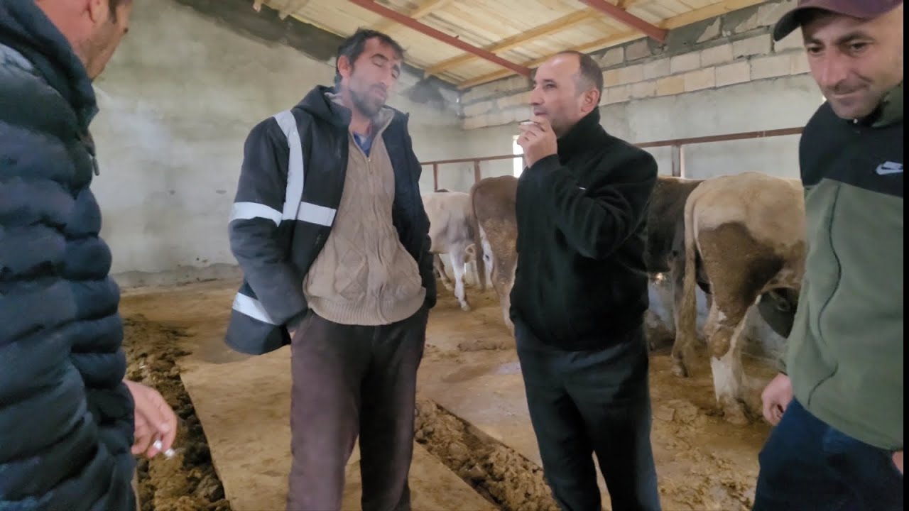 KARS KURBANLIK PAZARLIGI (2025 fiyatlar)