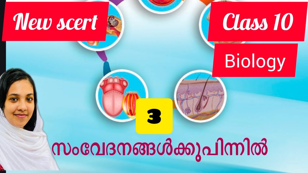 New scert class 10 chapter 3 part 2 സംവേദനങ്ങൾക്ക് പിന്നിൽ 